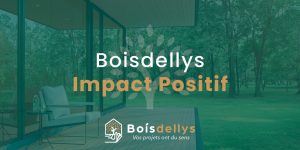 Boisdellys, présentation